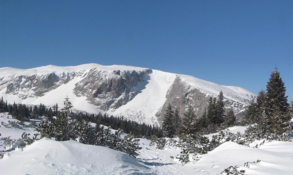 gruenschacher